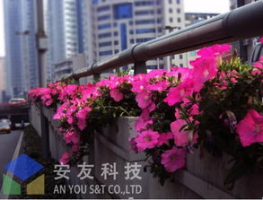 立體交響曲 高架橋綠化景觀設(shè)計的理念與實踐